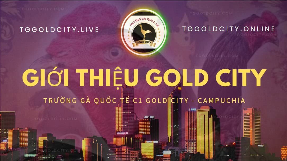 Câu hỏi về TRƯỜNG GÀ GOLD CITY