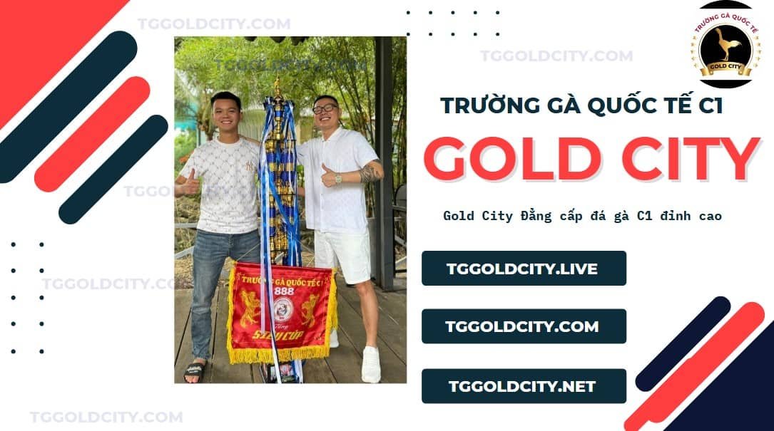 Trực Tiếp Gold City