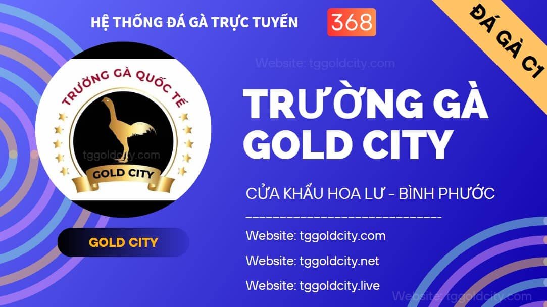 Hệ Thống Đá Gà Trực Tiếp tại Gold City