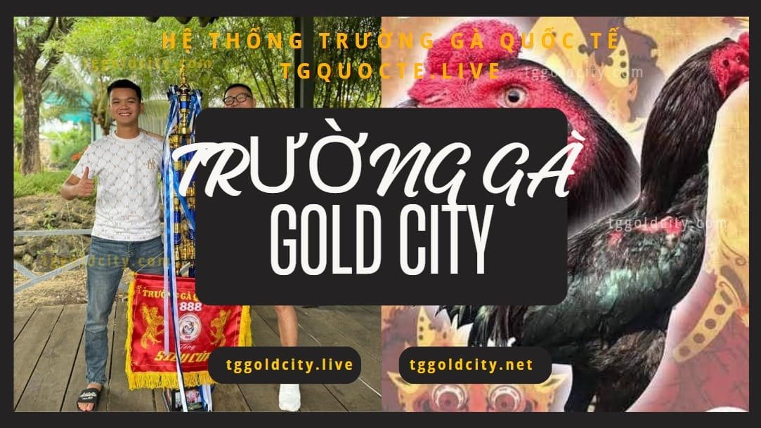 Tổng Quan về Trường Gà Gold City
